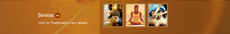 Ayurveda Massage Therapy Virginia is based on scientific treatments.
